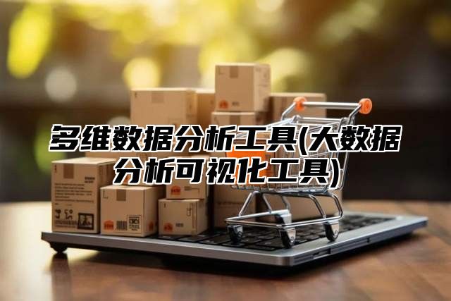 多维数据分析工具(大数据分析可视化工具)
