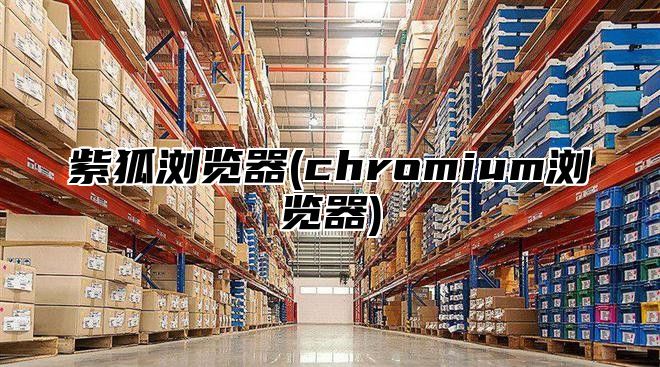 紫狐浏览器(chromium浏览器)