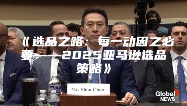 《选品之路：每一动因之必要——2025亚马逊选品策略》