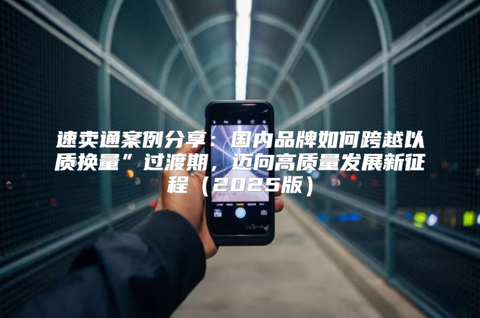 速卖通案例分享：国内品牌如何跨越以质换量”过渡期，迈向高质量发展新征程（2025版）