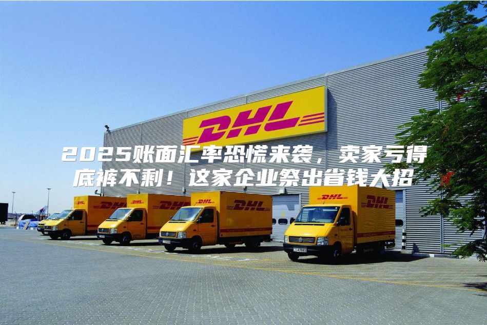 2025账面汇率恐慌来袭，卖家亏得底裤不剩！这家企业祭出省钱大招